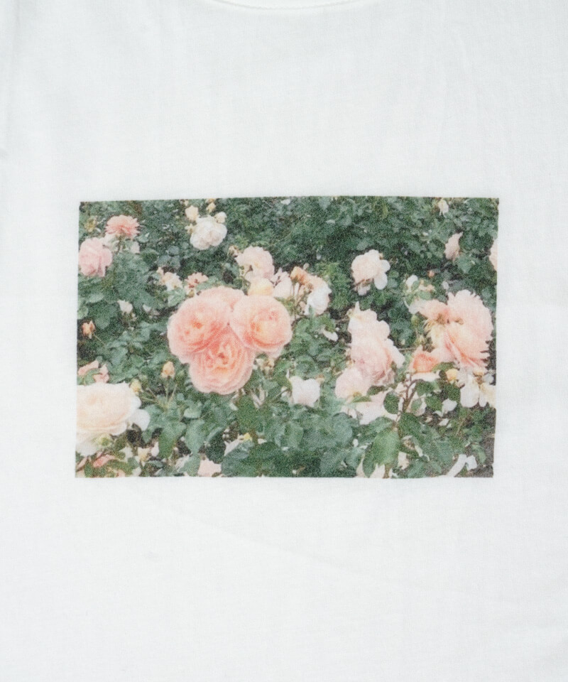 40%OFF】my precious Ts～ﾏｲﾌﾟﾚｼｬｽﾃｨｰｽﾞ | flower／フラワー公式通販
