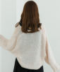 ysNzmodelFH160 pTCYFFREE