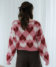 ybhzmodelFH164 pTCYFTvgp