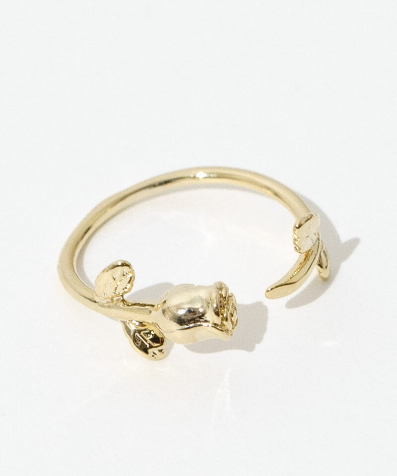 rose hug ring～ﾛｰｽﾞﾊｸﾞﾘﾝｸﾞ | flower／フラワー公式通販